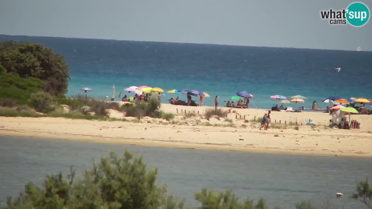 Webcam Chia – Spiaggia Su Giudeu in diretta