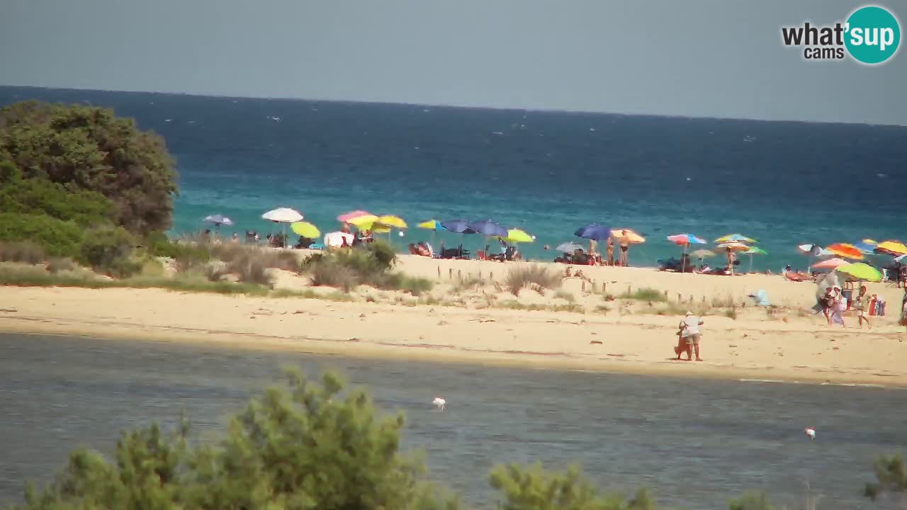 Webcam Chia – Live View of Su Giudeu Beach