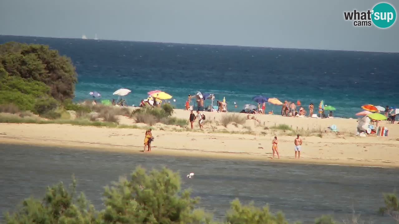 Webcam Chia – Spiaggia Su Giudeu in diretta