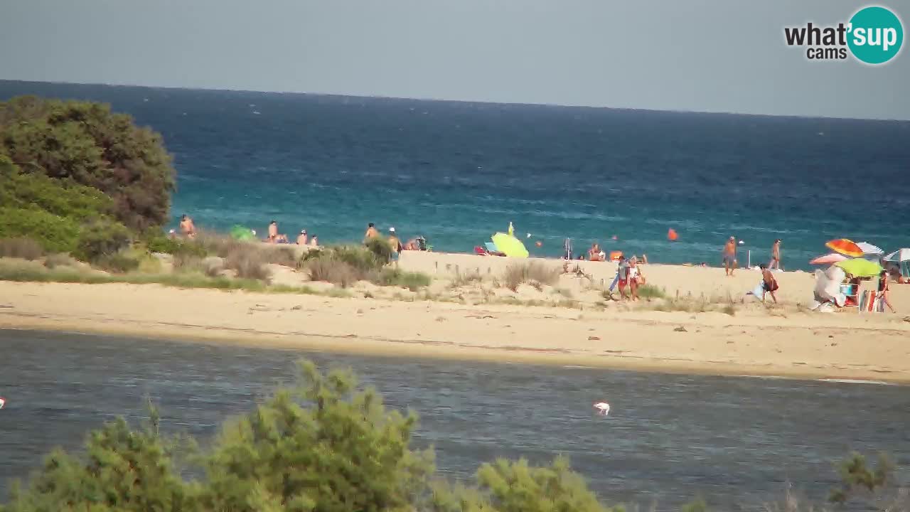 Web kamera Chia – Pogled uživo na plažu Su Giudeu