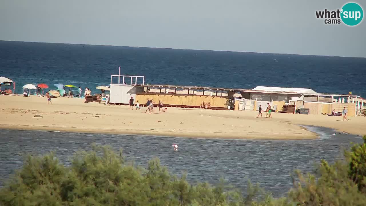 Webcam Chia – Vue en direct de la plage Su Giudeu