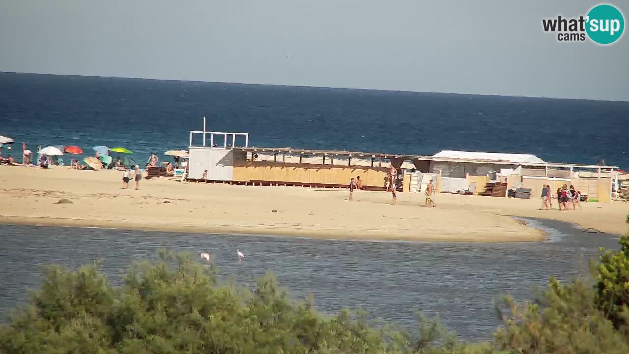 Spletna kamera Chia – Pogled v živo na plažo Su Giudeu