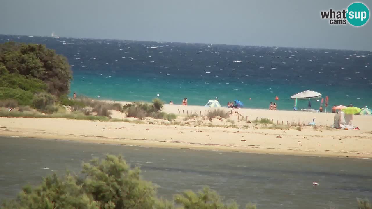 Webcam Chia – Live View of Su Giudeu Beach