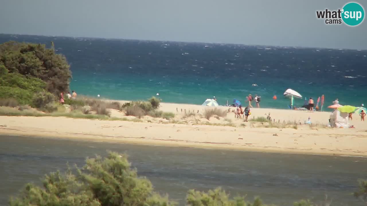 Webcam Chia – Live View of Su Giudeu Beach