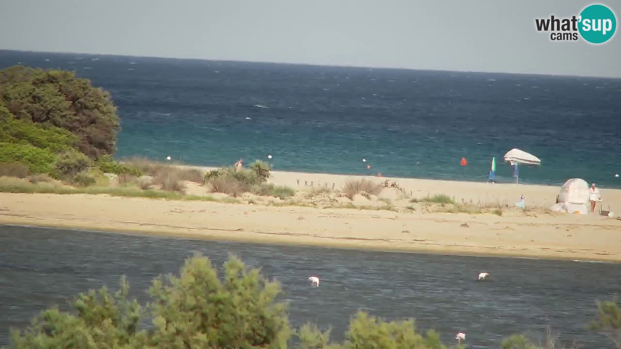 Web kamera Chia – Pogled uživo na plažu Su Giudeu
