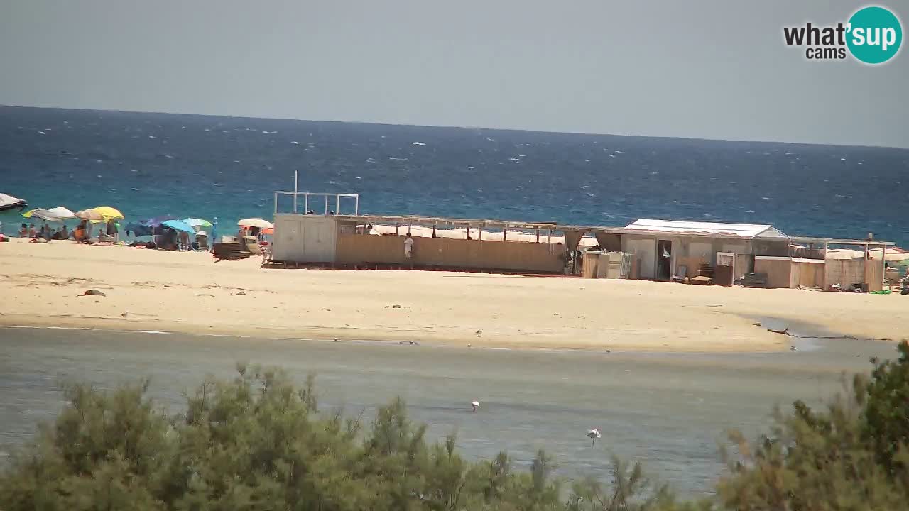 Spletna kamera Chia – Pogled v živo na plažo Su Giudeu