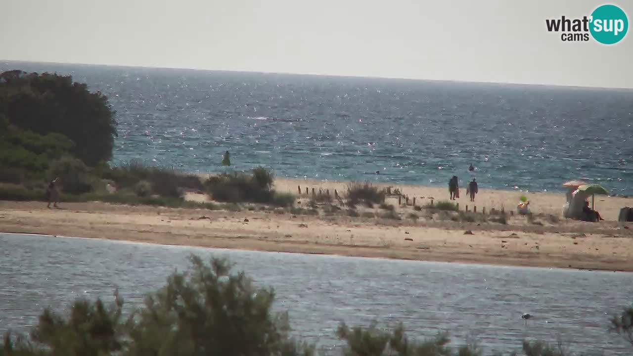 Spletna kamera Chia – Pogled v živo na plažo Su Giudeu
