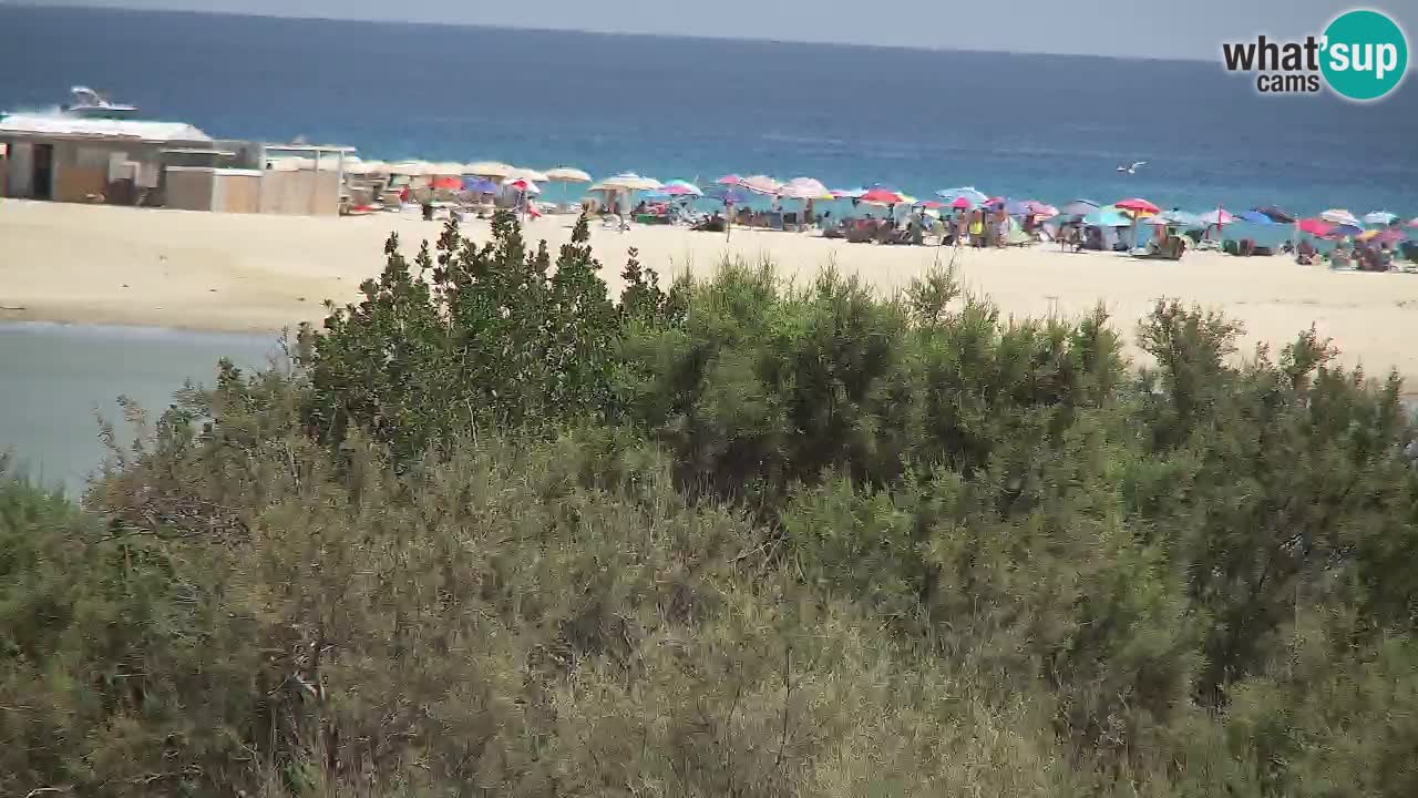Webcam Chia – Live View of Su Giudeu Beach