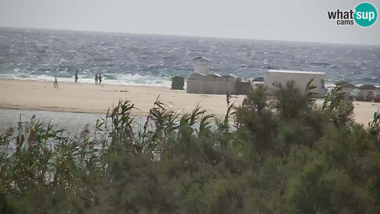 Webcam Chia – Live View of Su Giudeu Beach