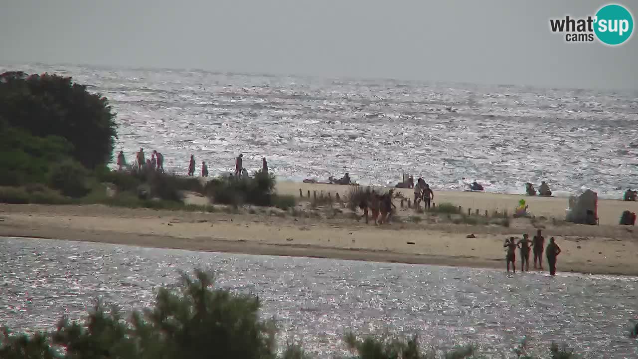 Webcam Chia – Live View of Su Giudeu Beach