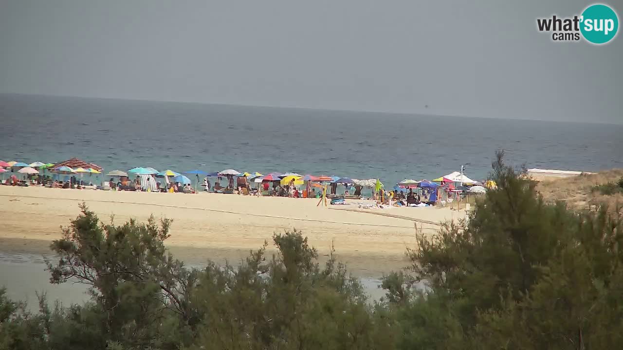 Webcam Chia – Live View of Su Giudeu Beach
