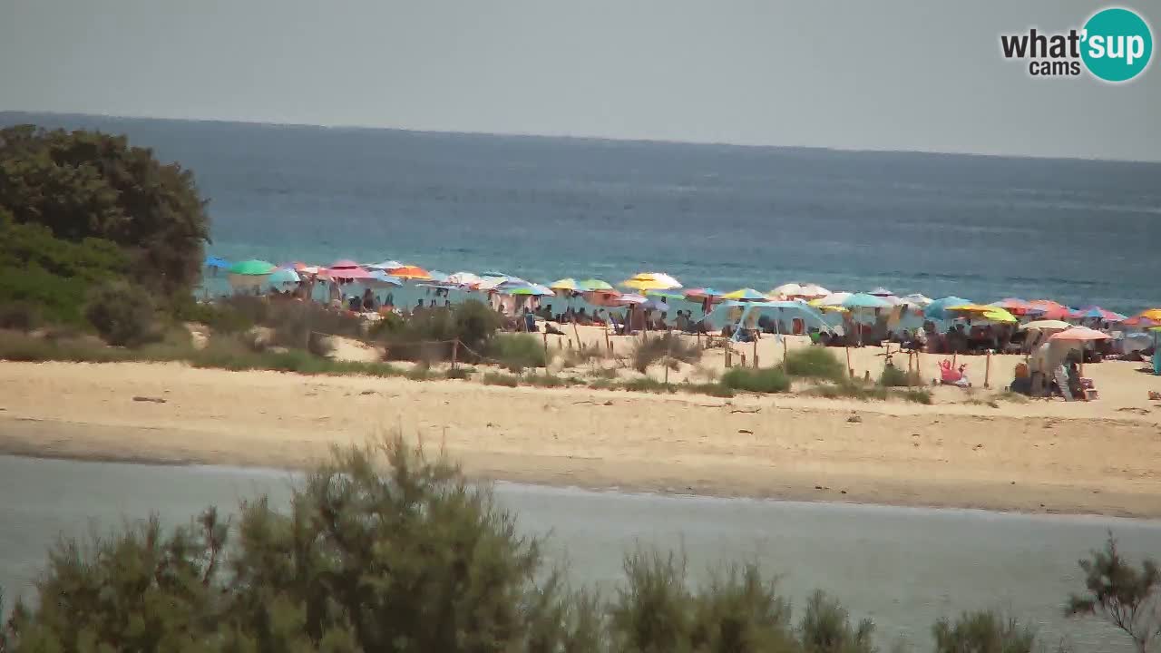 Webcam Chia – Live View of Su Giudeu Beach