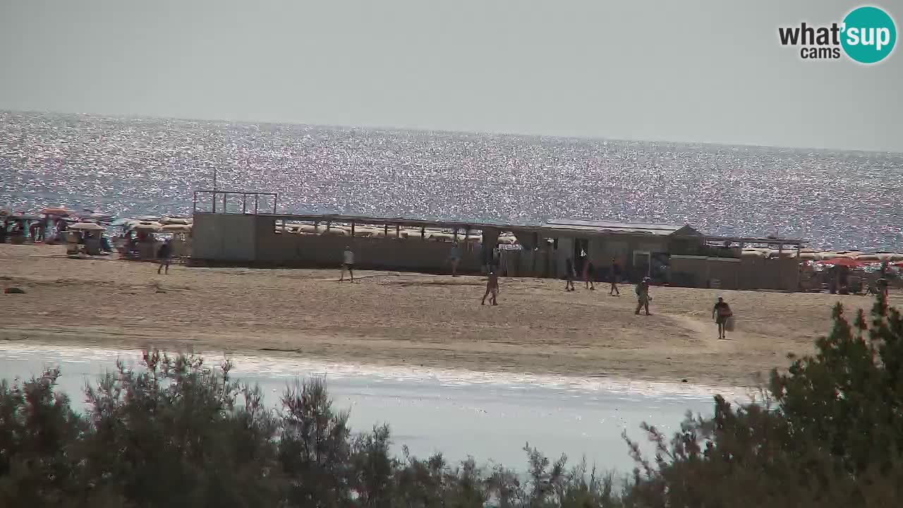 Webcam Chia – Live View of Su Giudeu Beach