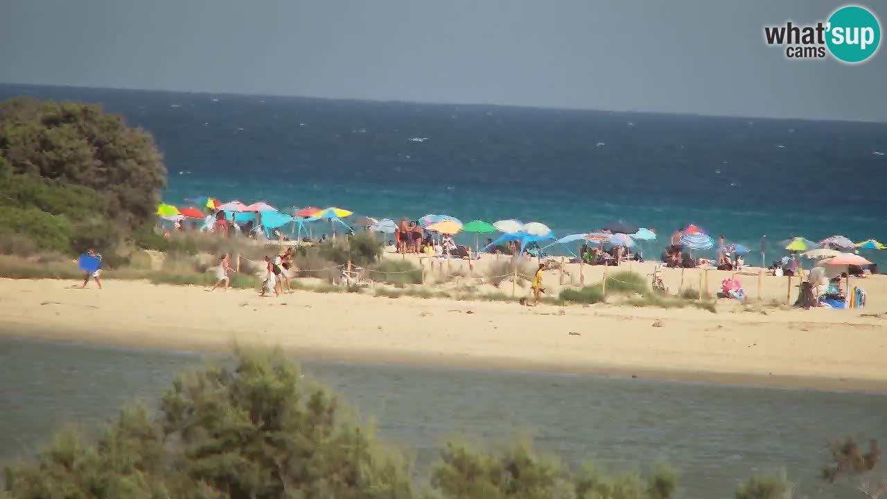 Webcam Chia – Vue en direct de la plage Su Giudeu