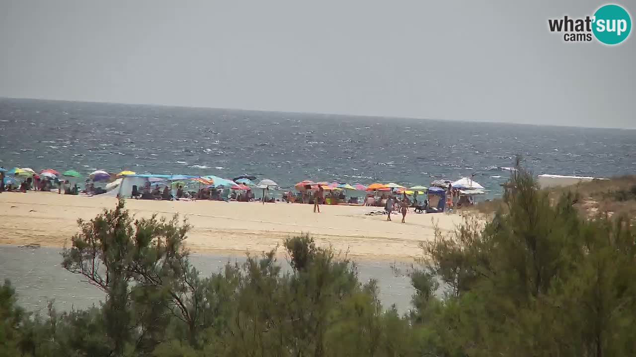 Webcam Chia – Live View of Su Giudeu Beach
