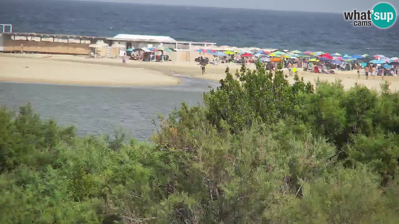 Spletna kamera Chia – Pogled v živo na plažo Su Giudeu