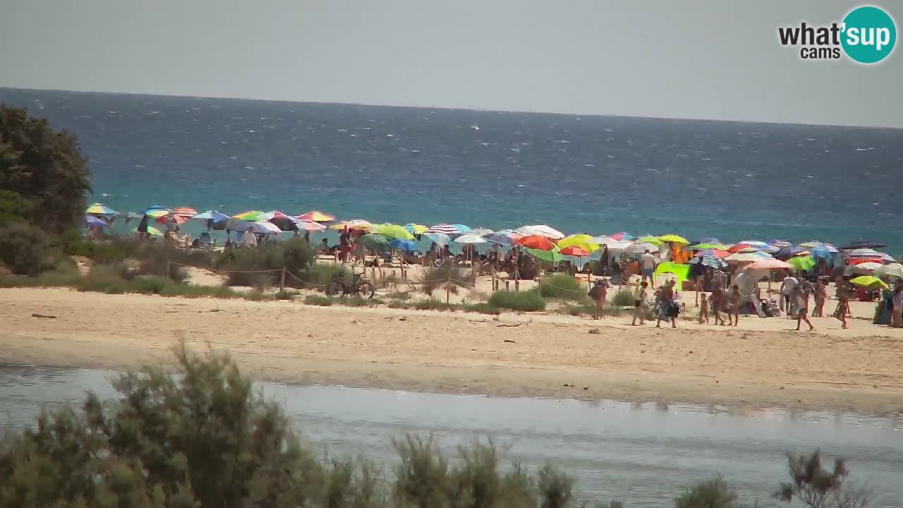 Webcam Chia – Vue en direct de la plage Su Giudeu