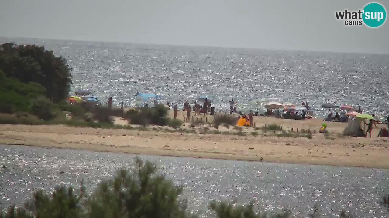 Web kamera Chia – Pogled uživo na plažu Su Giudeu