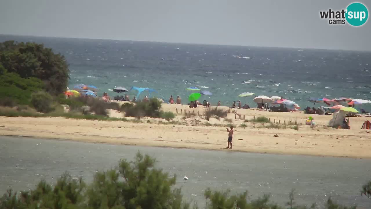 Webcam Chia – Live View of Su Giudeu Beach