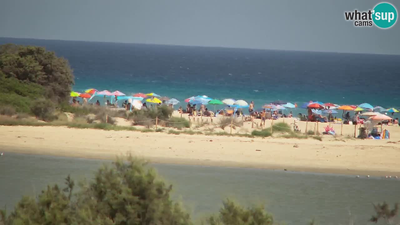 Webcam Chia – Vue en direct de la plage Su Giudeu