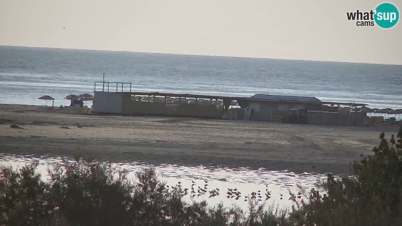 Webcam Chia – Vue en direct de la plage Su Giudeu