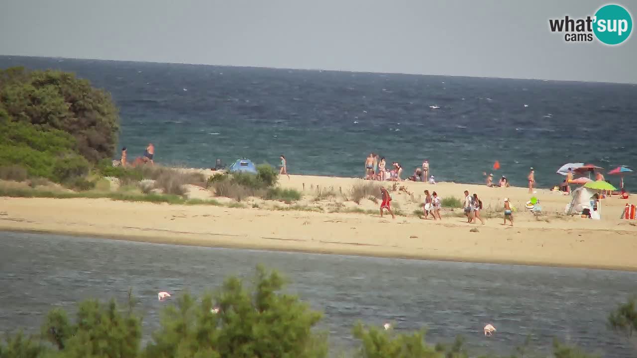 Webcam Chia – Liveblick auf den Strand Su Giudeu