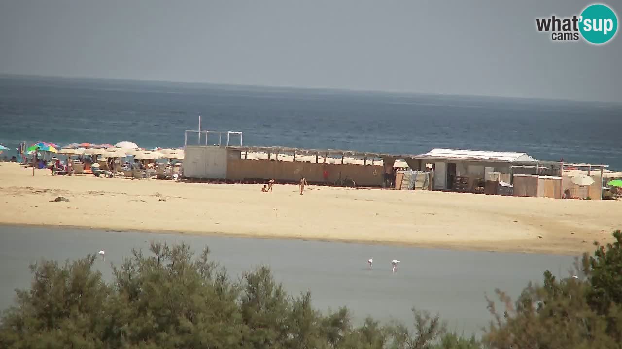 Webcam Chia – Vista en directo de la playa Su Giudeu