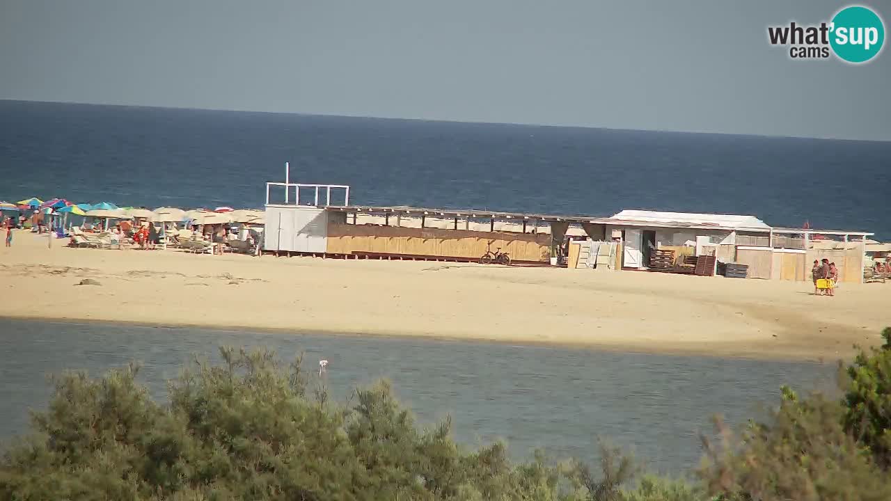 Webcam Chia – Vista en directo de la playa Su Giudeu