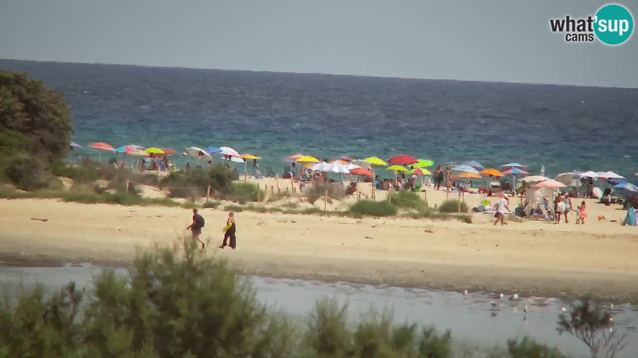 Webcam Chia – Vista en directo de la playa Su Giudeu
