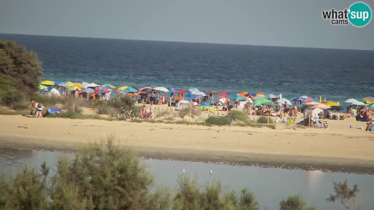 Webcam Chia – Vista en directo de la playa Su Giudeu