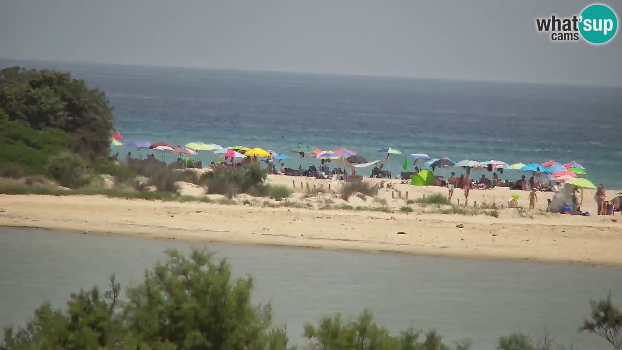 Webcam Chia – Liveblick auf den Strand Su Giudeu