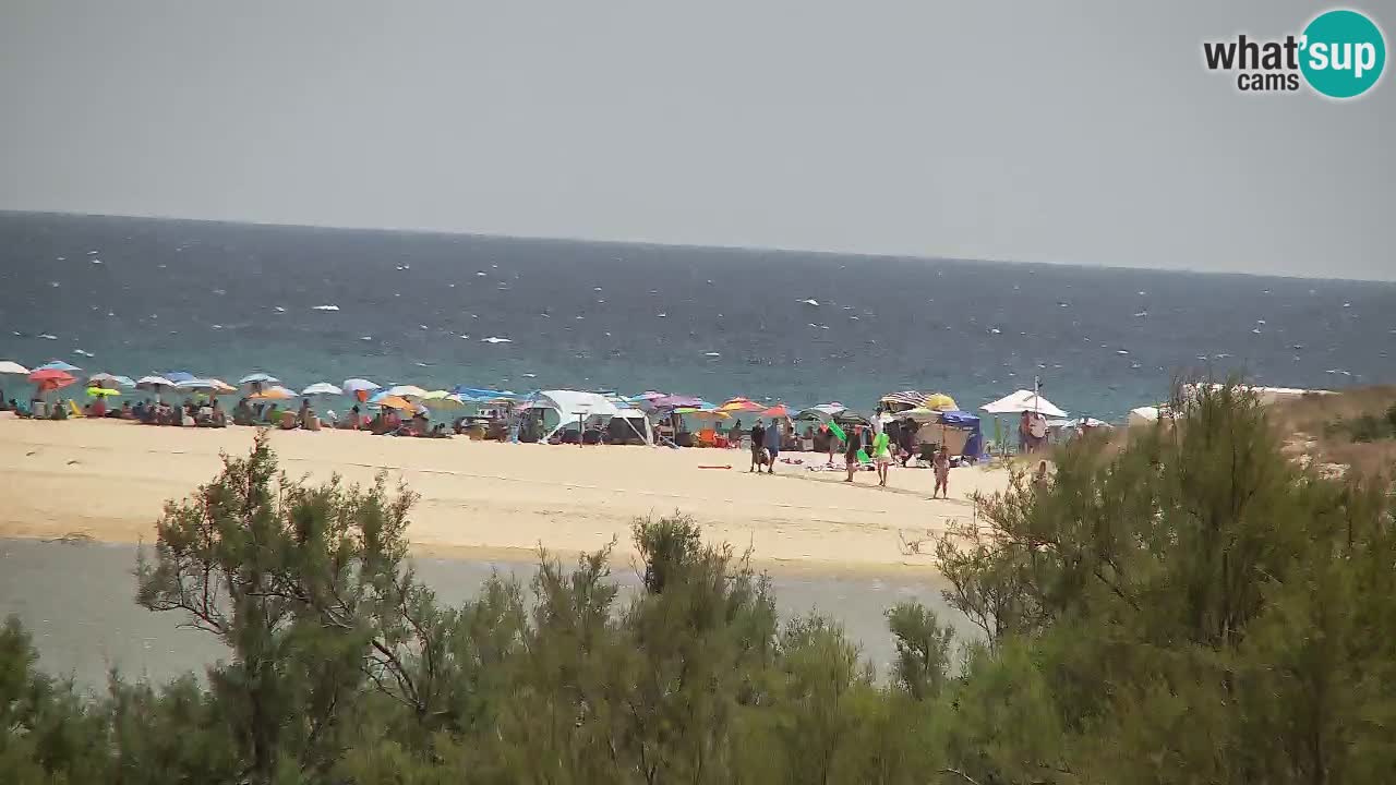 Webcam Chia – Live View of Su Giudeu Beach