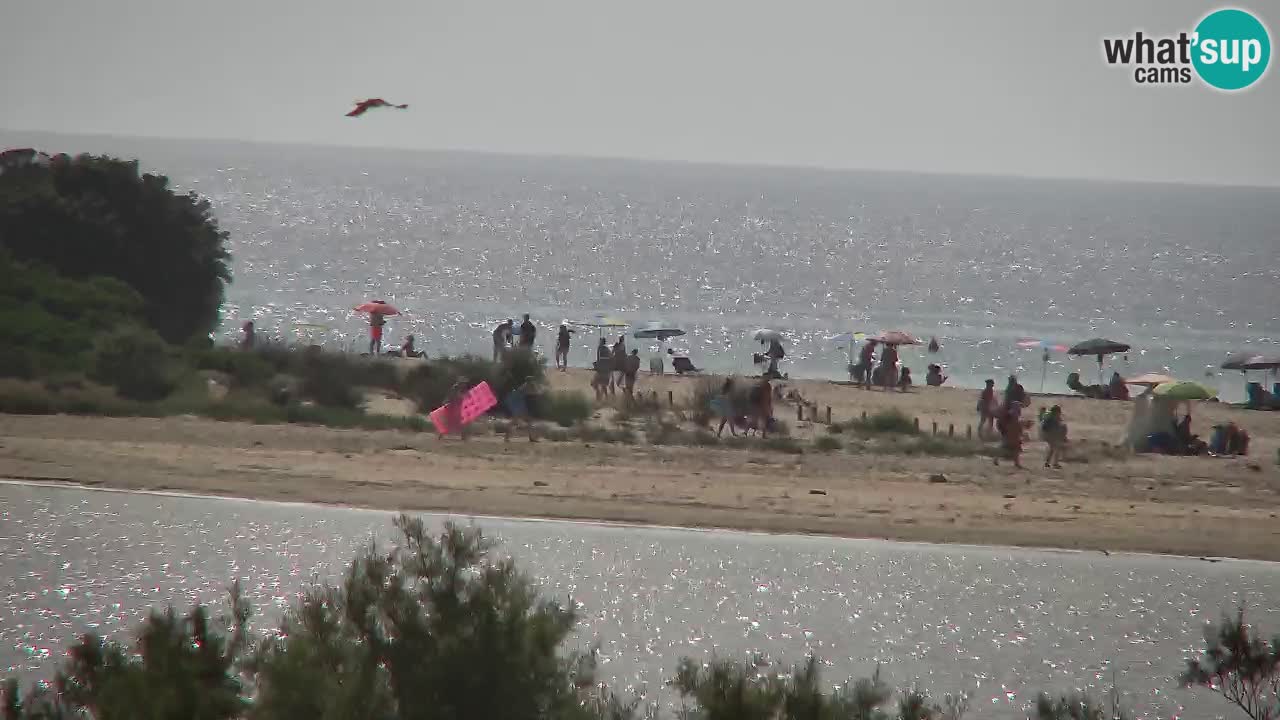 Webcam Chia – Live View of Su Giudeu Beach