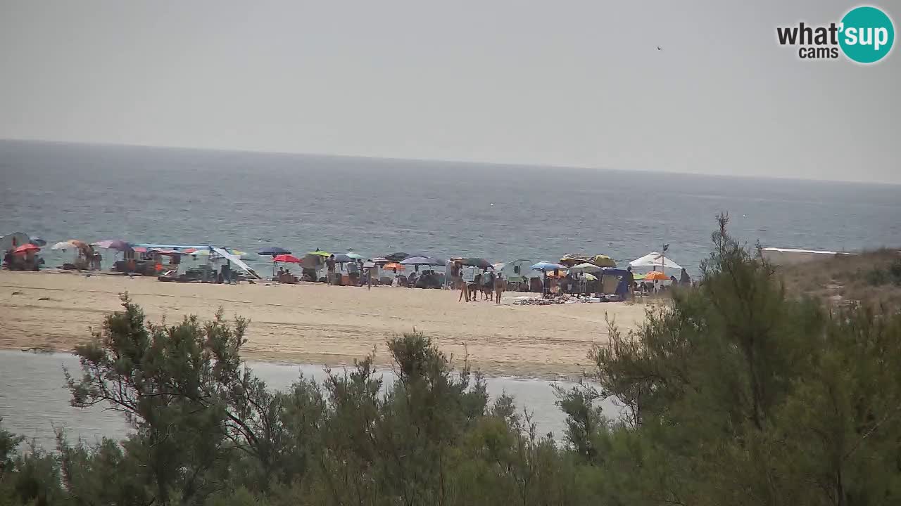 Webcam Chia – Live View of Su Giudeu Beach