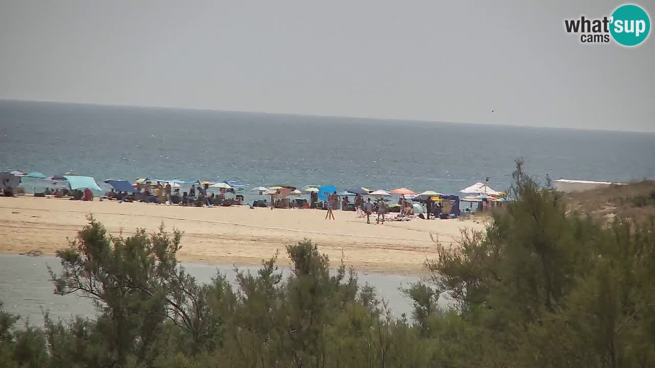 Webcam Chia – Live View of Su Giudeu Beach