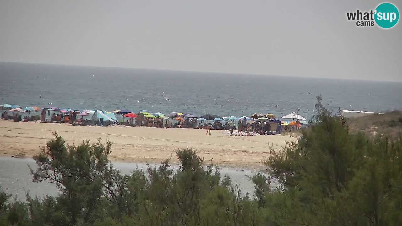 Webcam Chia – Live View of Su Giudeu Beach