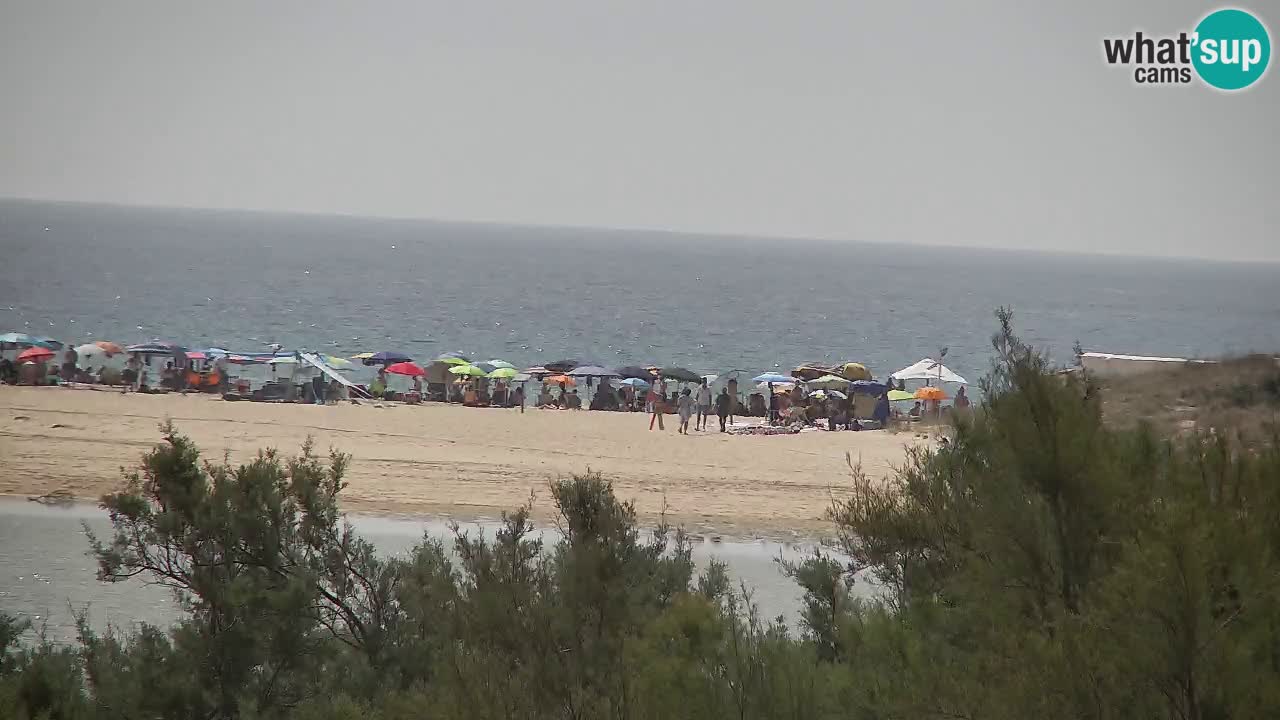 Webcam Chia – Vue en direct de la plage Su Giudeu