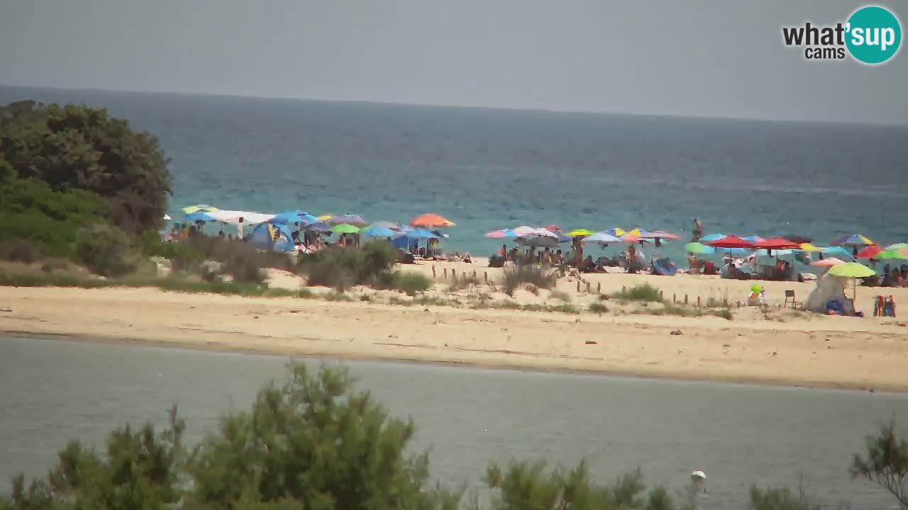 Webcam Chia – Vista en directo de la playa Su Giudeu