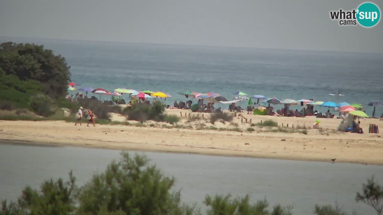 Webcam Chia – Live View of Su Giudeu Beach