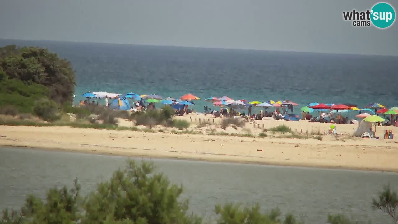 Webcam Chia – Vue en direct de la plage Su Giudeu