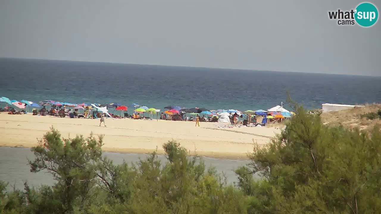 Webcam Chia – Live View of Su Giudeu Beach