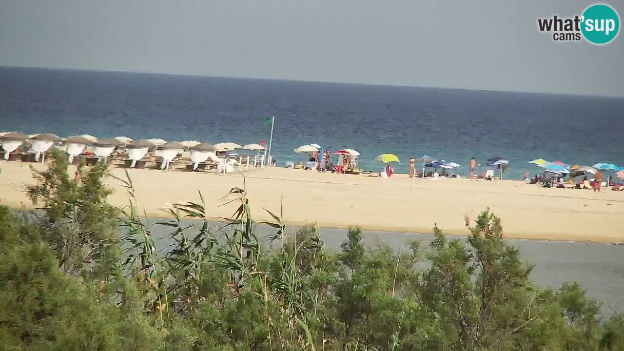 Webcam Chia – Live View of Su Giudeu Beach