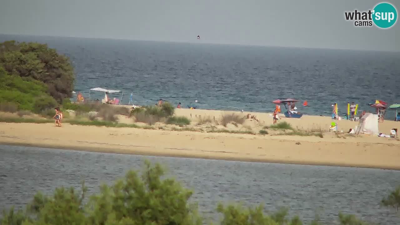 Webcam Chia – Live View of Su Giudeu Beach