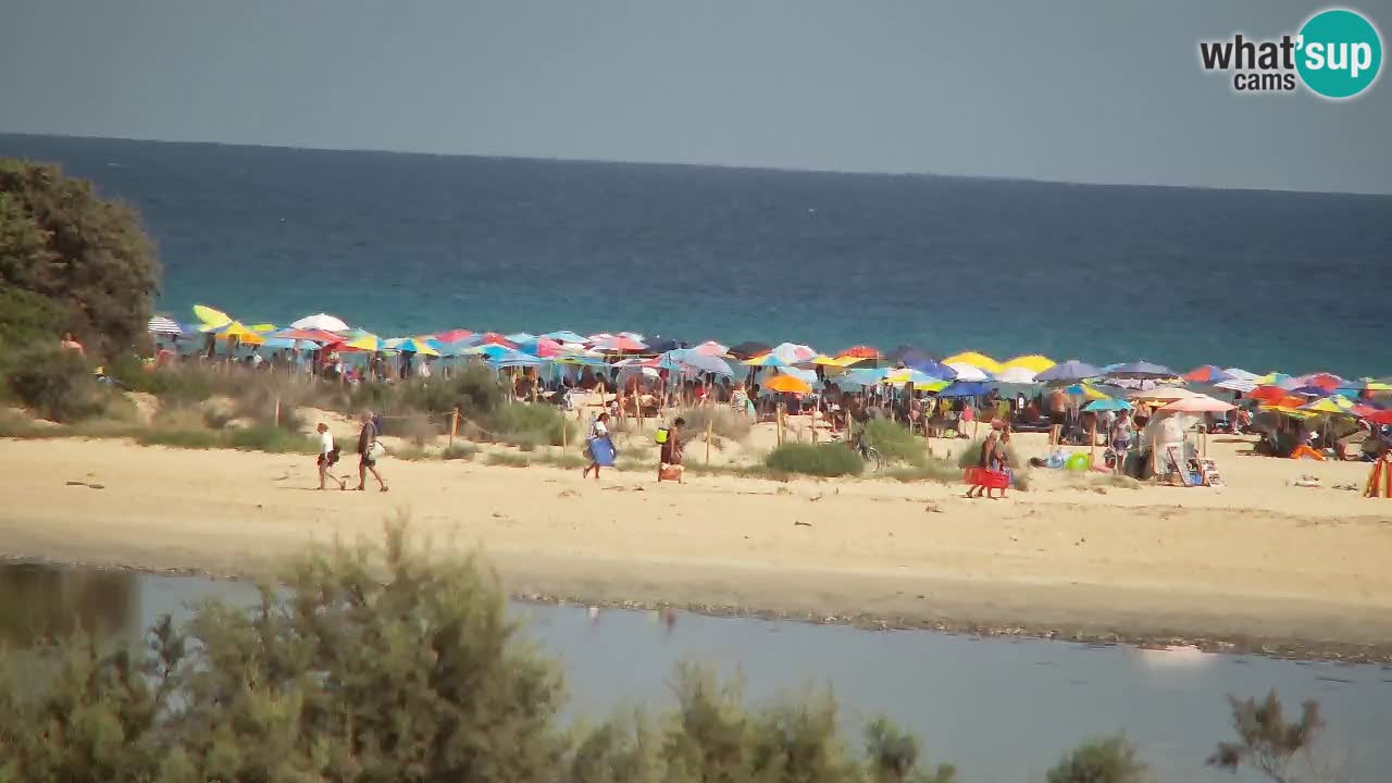 Web kamera Chia – Pogled uživo na plažu Su Giudeu