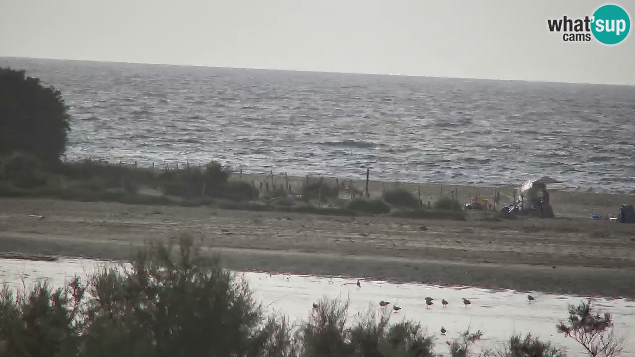 Spletna kamera Chia – Pogled v živo na plažo Su Giudeu