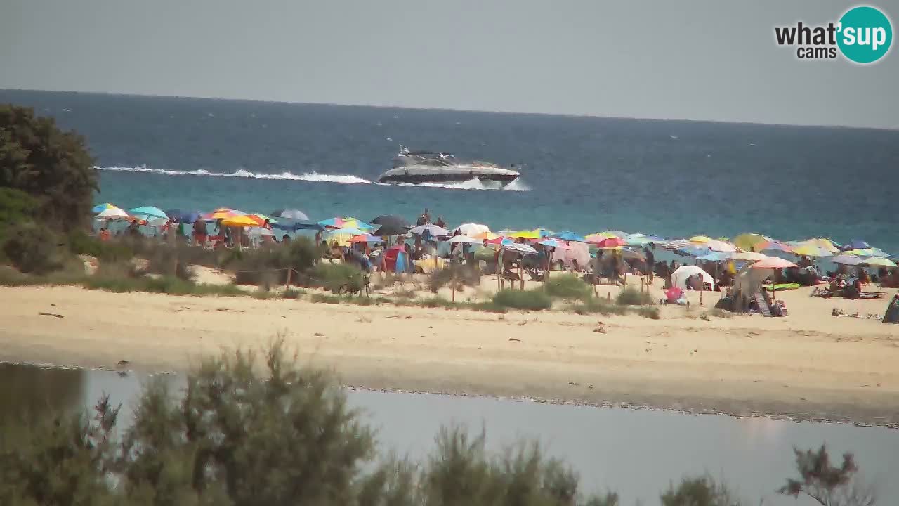 Webcam Chia – Vue en direct de la plage Su Giudeu