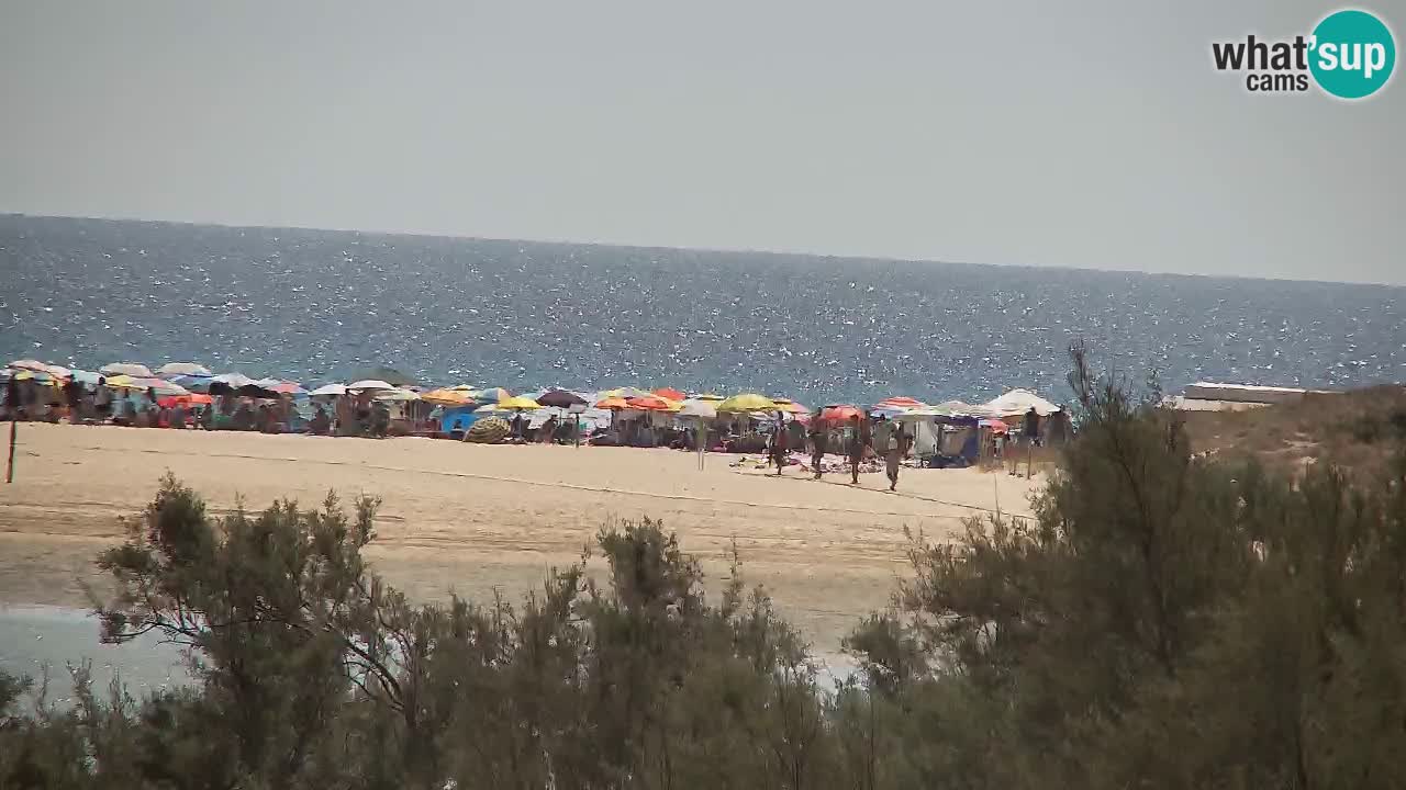 Webcam Chia – Live View of Su Giudeu Beach