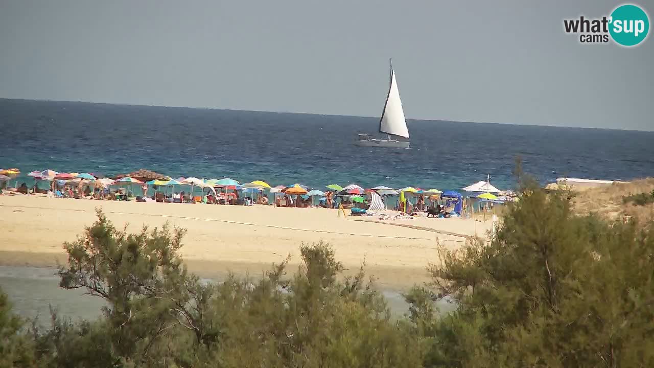 Spletna kamera Chia – Pogled v živo na plažo Su Giudeu