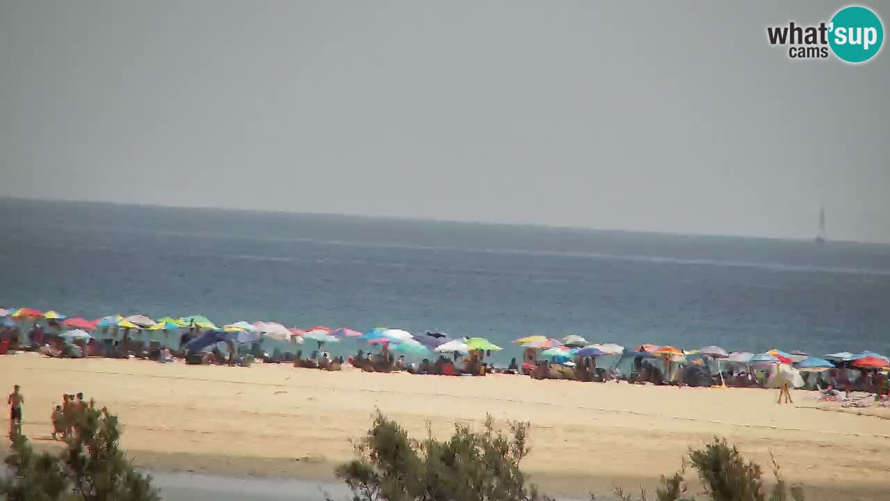 Webcam Chia – Live View of Su Giudeu Beach