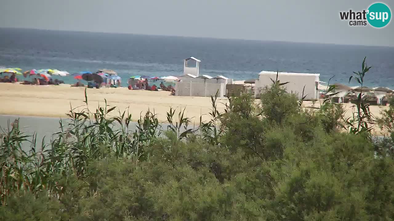 Webcam Chia – Live View of Su Giudeu Beach